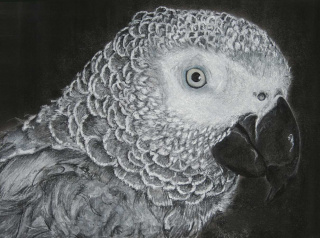 Galerie - Referenzbilder