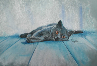 Galerie - Verkäuflich